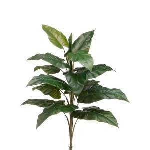  27.5 EVA Large Philodendron Plant Green (Pack of 12)