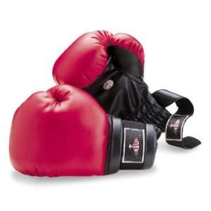  Boxing/Training Gloves