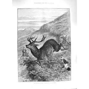   1888 ENGLAND STAG HUNTING EXMOOR HOUNDS MEN SHOOTING