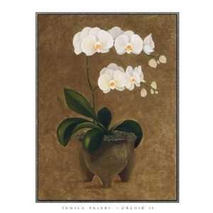  Orchid II Poster Print