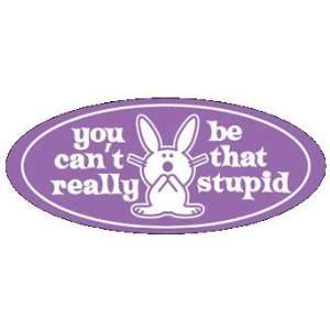   Bunny   You Cant Really Be That Stupid   Sticker / Decal Automotive