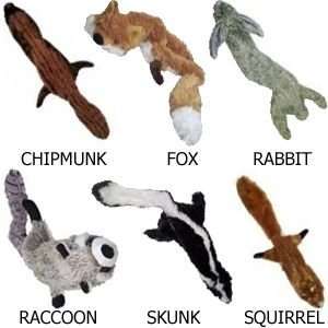 Rabbit, Fox, Skunk, Raccoon and Chipmunk