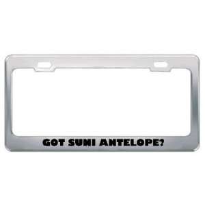  Got Suni Antelope? Animals Pets Metal License Plate Frame 