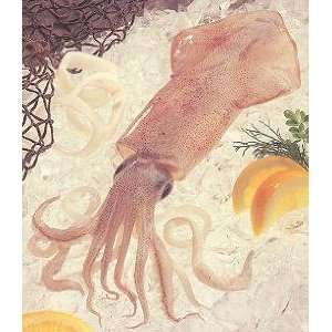 Calamari Rings 2 Lbs.  Grocery & Gourmet Food