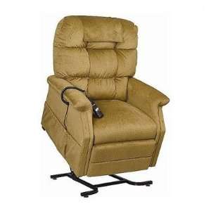   Pillow PR 400 Traditional Series Cambridge Lift Chair with Head Pillow