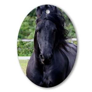  Friesian Pets Oval Ornament by 