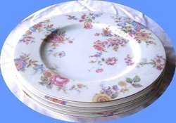 Set of 4 Castleton China Sunnybrooke Dinners  