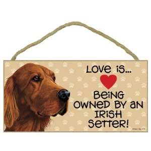  Love Is Being Owned By a Irish Setter   5x10 Wooden Sign 