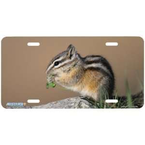261 Chipmunk Chipmunk License Plates Car Auto Novelty Front Tag by 