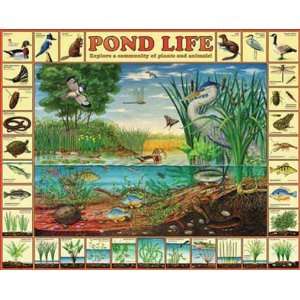   Life 1000 Pc Puzzle Chock Full Of Educational Content