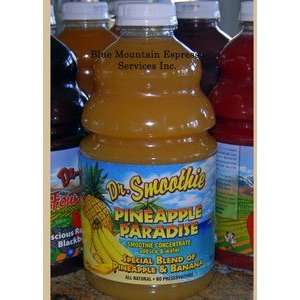 Dr Smoothie PINEAPPLE PARADISE Original Fruit Smoothie Mix  