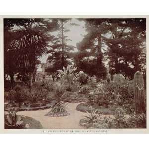1893 Print Hotel Del Monte Garden Monterey Calif. RARE   Color Tinted 
