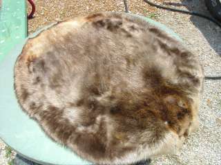 Super Blanket Beaver pelt garment tan wild fur ~Nice~  
