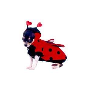  Ladybug Costume (Size 3)