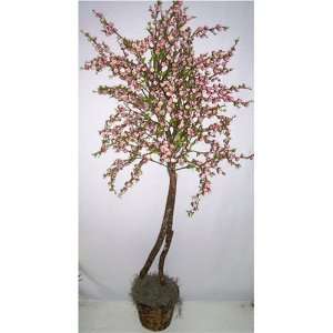  66 Cherry Blossom Tree (Pink)