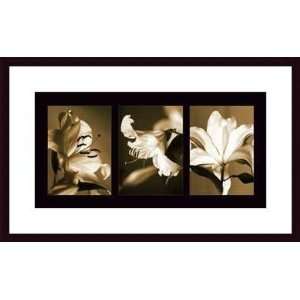   Lily Trio   Artist CAROLINE KELLY  Poster Size 27 X 13 Home