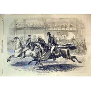   1864 Islington Horse Show Judging Hunters Sport Print