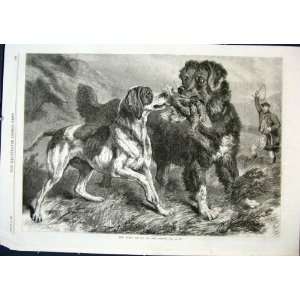  Grouse Season Shoot Dogs Dog Hunt Fine Art 1868