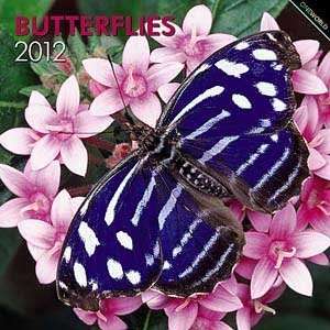  2012 Butterflies Calendar