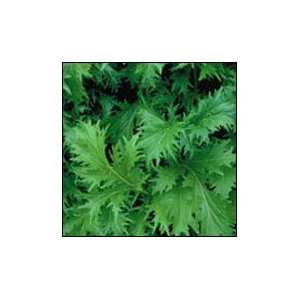  Mizuna Mustard   1/4 lb. Patio, Lawn & Garden