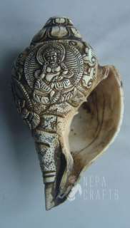 Kubera Handcarving Old Conch Shell Sankha For Wealth  