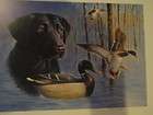 1994 S C SC Stamp Print & duck stamp signed + medallion Green Timber 