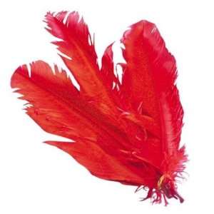   Pams Craft Feathers  Indian Feathers 10 Pack Of 5 Red Toys & Games