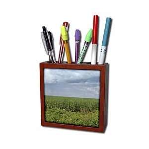  Florene Landscape   Country Cane   Tile Pen Holders 5 inch 