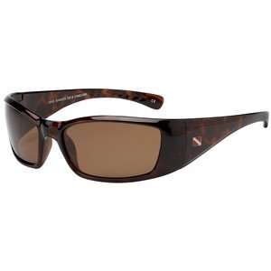   CanCun II Tortoise Frame Style DS16 1602T