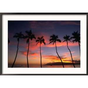 com Coconut Palms and the Island of Lanai at Sunset from the Seawall 