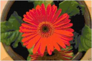 Gerber Daisy Flower Floral Counted Cross Stitch Pattern  
