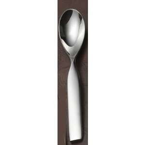 Double Helix Dinner Spoon [Set of 4] 