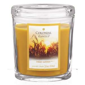  Pack of 4 Oval Indian Summer Aromatic Candles 8oz