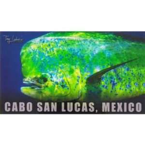  Pelagic Magnet   Cabo San Lucas, Mexico   Mahi