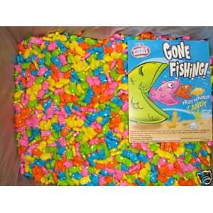   Gone Fishing Fruit Flavored Candy  Grocery & Gourmet Food