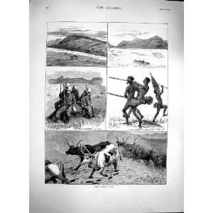   1879 Zulu War Trek Oxen Soldiers Natives Rorkes Drift