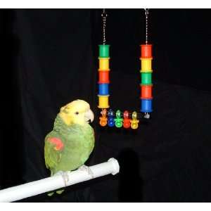  Back to Spool Bird Toy for  and African Grey Parrots 