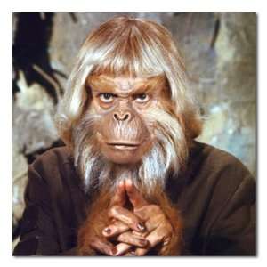  Booth Colman Planet of the Apes Color Stretched Square 