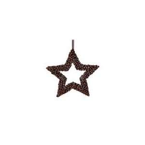  13 In The Birches Brown Pine Cone Star Christmas Ornament 
