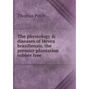   Hevea brasiliensis, the premier plantation rubber tree Thomas Petch