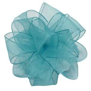 Offray Wired Edge Encore Sheer Craft Ribbon, 2 1/2 Inch 