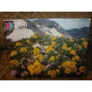   Pass Colorado 1500 York Puzzle By Milton Bradley Toys & Games
