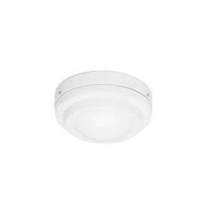  Hunter 28299 10 Low Profile with Opal Steped Glass in 