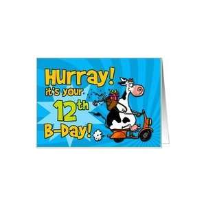  Hurray its your 12th birthday Card Toys & Games