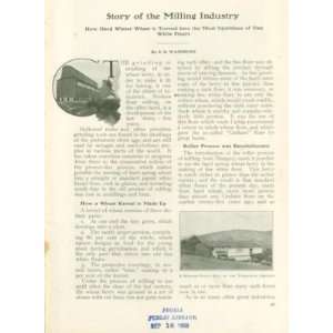  1906 Milling Industry Around World Flour Wheat Everything 