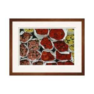   And Red Roses West Bank Israel Framed Giclee Print
