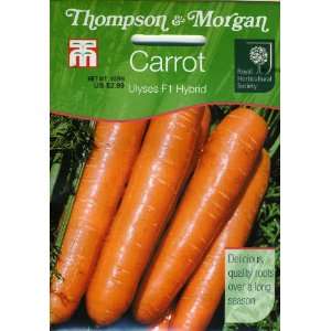  Thompson & Morgan 892 RHS Carrot Ulyses Seed Packet Patio 