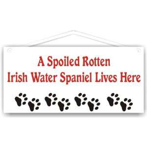  A Spoiled Rotten Irish Water Spaniel Lives Here 