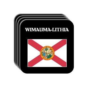  US State Flag   WIMAUMA LITHIA, Florida (FL) Set of 4 Mini 