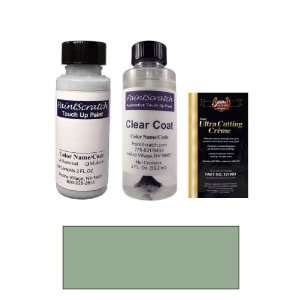  2 Oz. Grayish Green Pearl Metallic Paint Bottle Kit for 